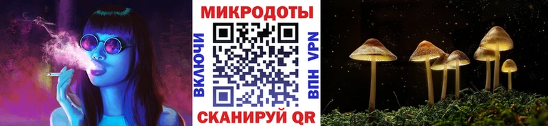 Купить Дмитриев Галлюциногенные грибы GOLDEN TEACHER